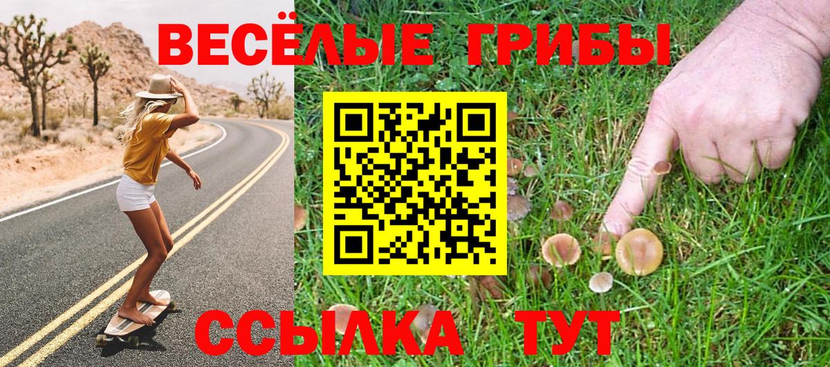 Псилоцибиновые грибы Psilocybine cubensis Орёл